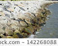 A stone wall built to protect against sea waves. 142268088