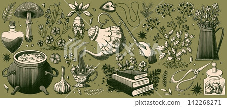 Witchcraft apothecary collection of potion bottles Witchcraft apothecary collection of potion bottles 142268271