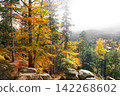 Autumn landscape in the mountain forest of the Karkonosze National Park in Poland, Europe 142268602