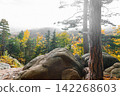 Autumn landscape in the mountain forest of the Karkonosze National Park in Poland, Europe 142268603