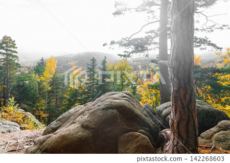 Autumn landscape in the mountain forest of the Karkonosze National Park in Poland, Europe Autumn landscape in the mountain forest of the Karkonosze National Park in Poland, Europe 142268603