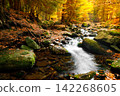 River. Autumn landscape with mountain river in the forest of the Karkonosze National Park in Poland, Europe 142268605
