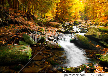 River. Autumn landscape with mountain river in the forest of the Karkonosze National Park in Poland, Europe River. Autumn landscape with mountain river in the forest of the Karkonosze National Park in Poland, Europe 142268605