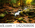River. Autumn landscape with mountain river in the forest of the Karkonosze National Park in Poland, Europe 142268606