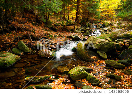 River. Autumn landscape with mountain river in the forest of the Karkonosze National Park in Poland, Europe River. Autumn landscape with mountain river in the forest of the Karkonosze National Park in Poland, Europe 142268606