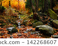River. Autumn landscape with mountain river in the forest of the Karkonosze National Park in Poland, Europe 142268607