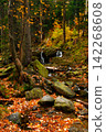 River. Autumn landscape with mountain river in the forest of the Karkonosze National Park in Poland, Europe 142268608