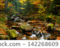 River. Autumn landscape with mountain river in the forest of the Karkonosze National Park in Poland, Europe 142268609
