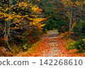Trail. Autumn landscape with hiking trail in the mountain forest of the Karkonosze National Park in Poland, Europe 142268610