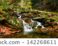 Waterfall. Autumn landscape with waterfall in the mountain forest of the Karkonosze National Park in Poland, Europe 142268611