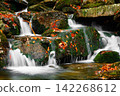Waterfall. Autumn landscape with waterfall in the mountain forest of the Karkonosze National Park in Poland, Europe 142268612