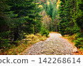 Trail. Autumn landscape with hiking trail in the mountain forest of the Karkonosze National Park in Poland, Europe. 142268614