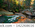 Waterfall. Autumn landscape with waterfall in the mountain forest of the Karkonosze National Park in Poland, Europe 142268616