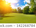 Beautiful Sunlit Green Lawn in Public Park with Big Trees Under Blue Sky on Sunny Summer Day 142268784