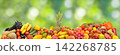 Vibrant Collection of Raw Fresh Vegetables and Fruits Banner Set Over Blurry Green Leaves Background 142268785