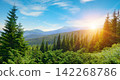 Beautiful Mountain Landscape at Dawn Featuring Vibrant Green Spruce Trees and Sunburst Glow Over Distant Peaks for Wilderness Backgrounds and Environmental Protection Projects. 142268786
