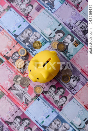 A piggy bank as a concept for storing, accumulating, and saving financial resources. A piggy bank A piggy bank as a concept for storing, accumulating, and saving financial resources. A piggy bank 142269483