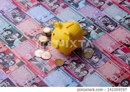 A piggy bank as a concept for storing, accumulating, and saving financial resources. A piggy bank A piggy bank as a concept for storing, accumulating, and saving financial resources. A piggy bank 142269597