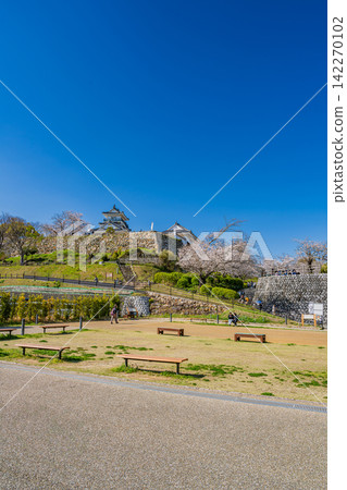 Hamamatsu Castle and cherry blossoms in Hamamatsu City (Shizuoka Prefecture) Hamamatsu Castle and cherry blossoms in Hamamatsu City (Shizuoka Prefecture) 142270102