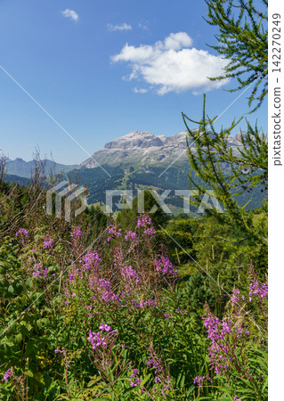 ALTA BADIA IN THE ITALIAN SOUTH TYROL ALTA BADIA IN THE ITALIAN SOUTH TYROL 142270249