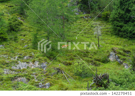 south tyrol in italy south tyrol in italy 142270451