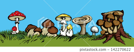 Vector drawing. Harvest of different mushrooms Vector drawing. Harvest of different mushrooms 142270622