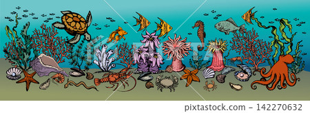 Cute underwater life. Vector drawing Cute underwater life. Vector drawing 142270632