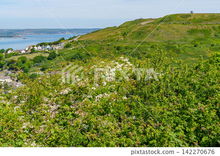 the isle of portland at the jurassic coast the isle of portland at the jurassic coast 142270676