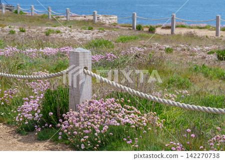 the isle of portland at the jurassic coast the isle of portland at the jurassic coast 142270738