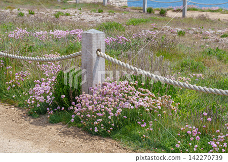 the isle of portland at the jurassic coast the isle of portland at the jurassic coast 142270739