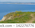 the jurassic coast in england 142270776