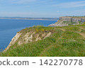 the jurassic coast in england 142270778