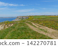 the jurassic coast in england 142270781