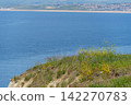 the jurassic coast in england 142270783