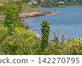 the jurassic coast in england 142270795