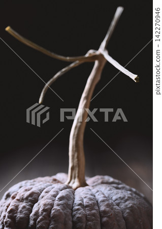 Close up of curved pumpkin stem with soft focus Close up of curved pumpkin stem with soft focus 142270946