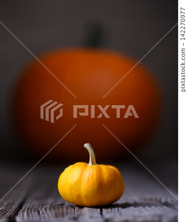 Large and small orange pumpkins on an old rusty wooden table Large and small orange pumpkins on an old rusty wooden table 142270977