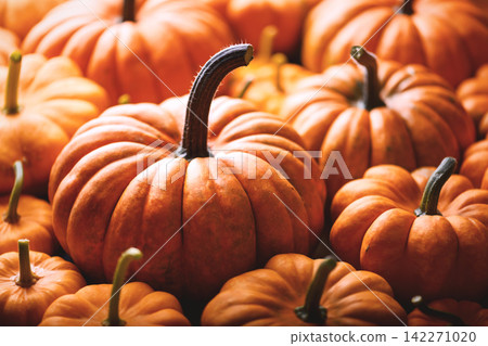 Top-down close-up of a group of orange pumpkins Top-down close-up of a group of orange pumpkins 142271020