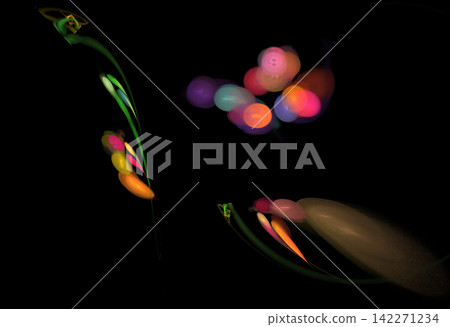 Crazy mystical coloured light effects. Incredible combinations of abstract light lines Crazy mystical coloured light effects. Incredible combinations of abstract light lines 142271234