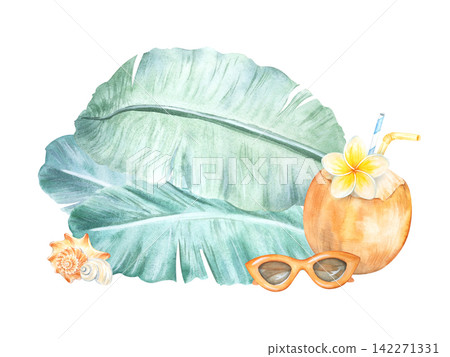 A watercolor template on a tropical summer vacation theme. Green leaves of a banana palm from the islands. A hand drawn coconut cocktail with plumeria. Seashells from the ocean beach. For the logo. A watercolor template on a tropical summer vacation theme. Green leaves of a banana palm from the islands. A hand drawn coconut cocktail with plumeria. Seashells from the ocean beach. For the logo. 142271331
