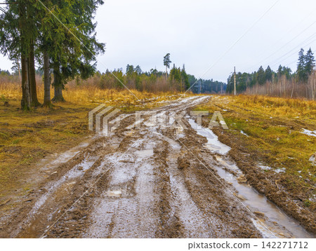 Muddy forest track with deep ruts leading through misty conifer woodland under overcast sky Muddy forest track with deep ruts leading through misty conifer woodland under overcast sky 142271712