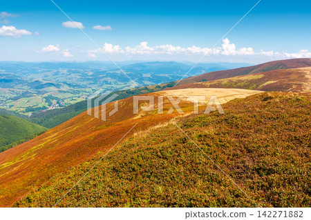 alpine nature of Carpathian mountain range in early autumn. colorful slopes of Ukrainian highland landscape alpine nature of Carpathian mountain range in early autumn. colorful slopes of Ukrainian highland landscape 142271882