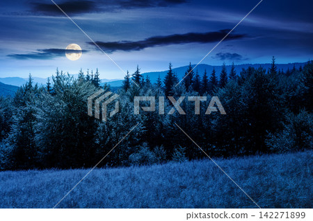mountain landscape of ukraine at night. full moon over alpine grassy meadow and deciduous forest on the hill. late summer nature background for carpathian adventures mountain landscape of ukraine at night. full moon over alpine grassy meadow and deciduous forest on the hill. late summer nature background for carpathian adventures 142271899