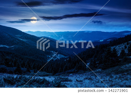 coniferous forest on a mountain slope at night. full moon over Ukrainian Carpathians in summertime. Chornohora ridge. forested dale beneath a dark vault. mysterious view from mountain top coniferous forest on a mountain slope at night. full moon over Ukrainian Carpathians in summertime. Chornohora ridge. forested dale beneath a dark vault. mysterious view from mountain top 142271901