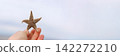 Hand holding common starfish washed ashore on North Sea beach. Copy space. Shallow depth of field. 142272210