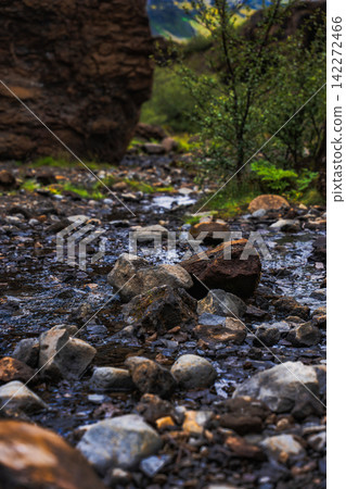 Rocky Stream in Icelandic Canyon with Moss Covered Rocks and Green Vegetation Rocky Stream in Icelandic Canyon with Moss Covered Rocks and Green Vegetation 142272466