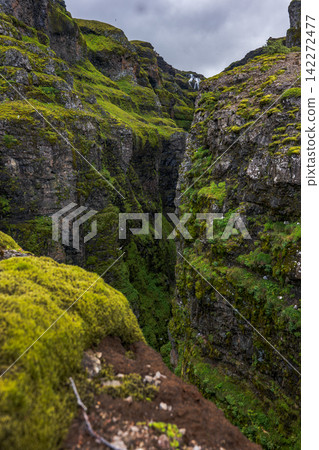 Moss covered canyon with hikers in Iceland Moss covered canyon with hikers in Iceland 142272477