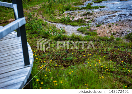 Adirondack Chair by Stream in Iceland Meadow with Wildflowers 142272491