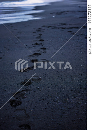 Footprints on Black Sand Beach Iceland Footprints on Black Sand Beach Iceland 142272535