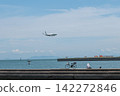 Beautiful summer aircraft seen at Oita Airport in August 142272846